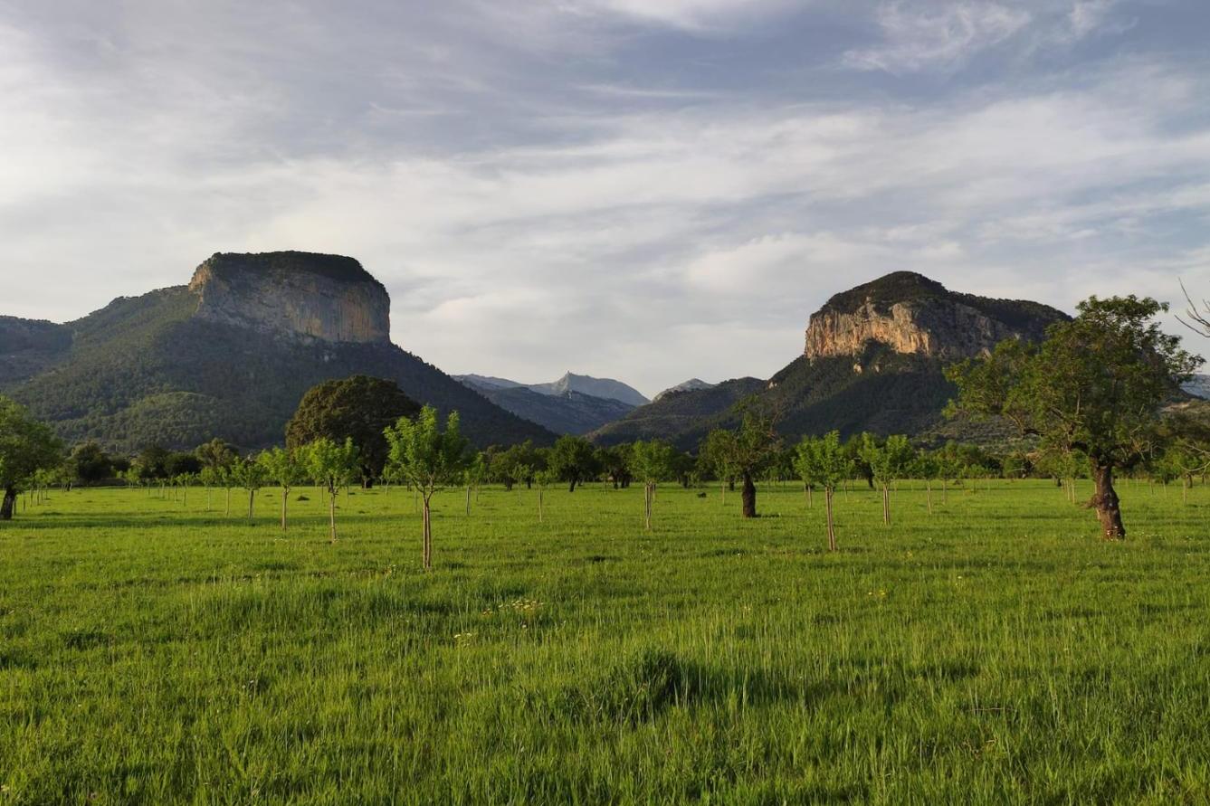 Las Islas Baleares destacan en España por su alto porcentaje de ayudas a agricultores y ganaderos