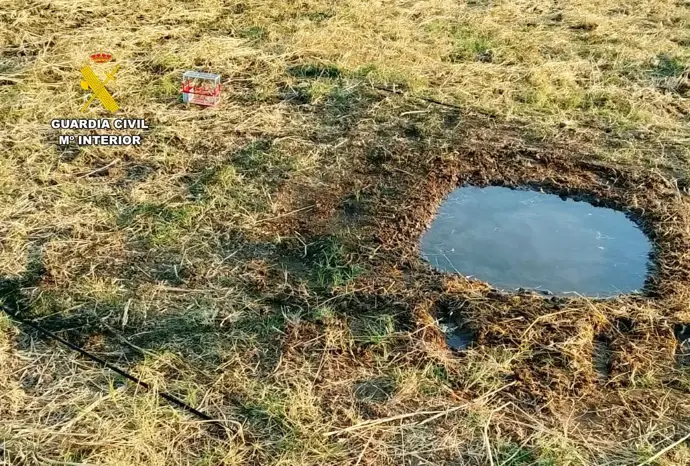 La Guardia Civil sorprende a un vecino de Badajoz cazando ilegalmente con jilgueros como cebo