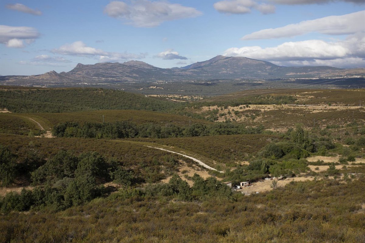 Más de 50 rutas de la Red de Sendas Verdes permiten explorar el Madrid más rural y natural