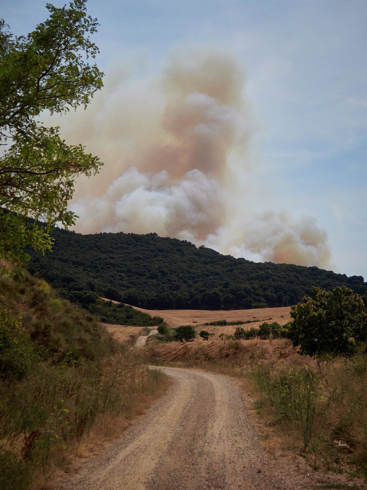López pide calma ante el incendio de Muruzábal: "No hay riesgo para la población