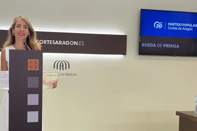 Navarro (PP) afirma que "la situación en Aragón es positiva, a pesar de la negativa del PSOE