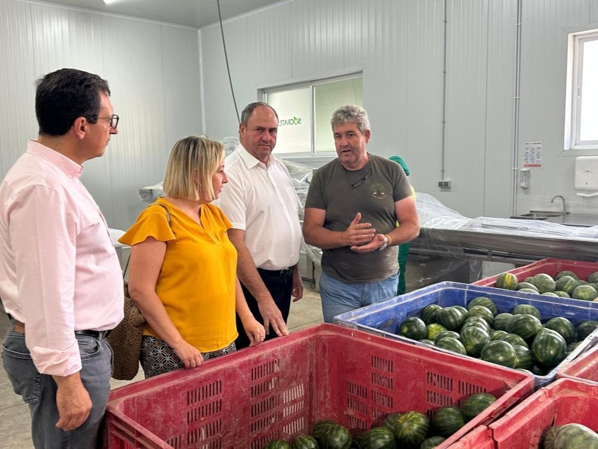 Gobierno de C-LM destaca el éxito de la campaña de melón y sandía, aunque expresa preocupación