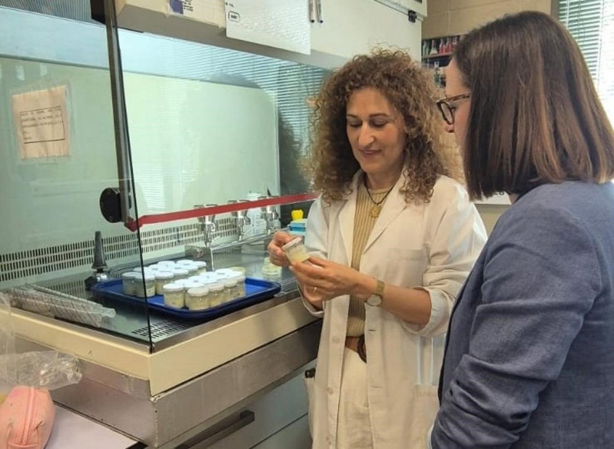 C-LM apoya un proyecto de investigación para mejorar los análogos vegetales de lácteos