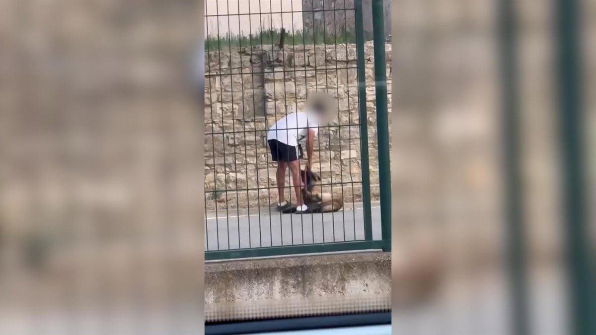 Un hombre es investigado por maltratar a un perro en Calaf, Barcelona