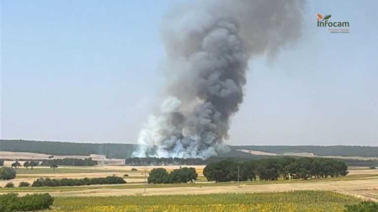Incendio forestal controlado en Almodóvar del Pinar, declarado este sábado.