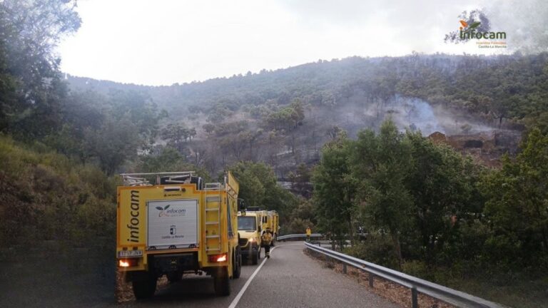 Se ha logrado extinguir el incendio forestal en Los Navalucillos tras intensas labores de los