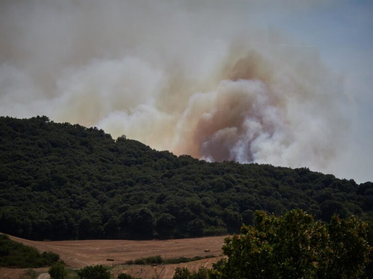 El riesgo de incendio forestal para este domingo es "muy alto" o "extremo" en gran parte de Navarra