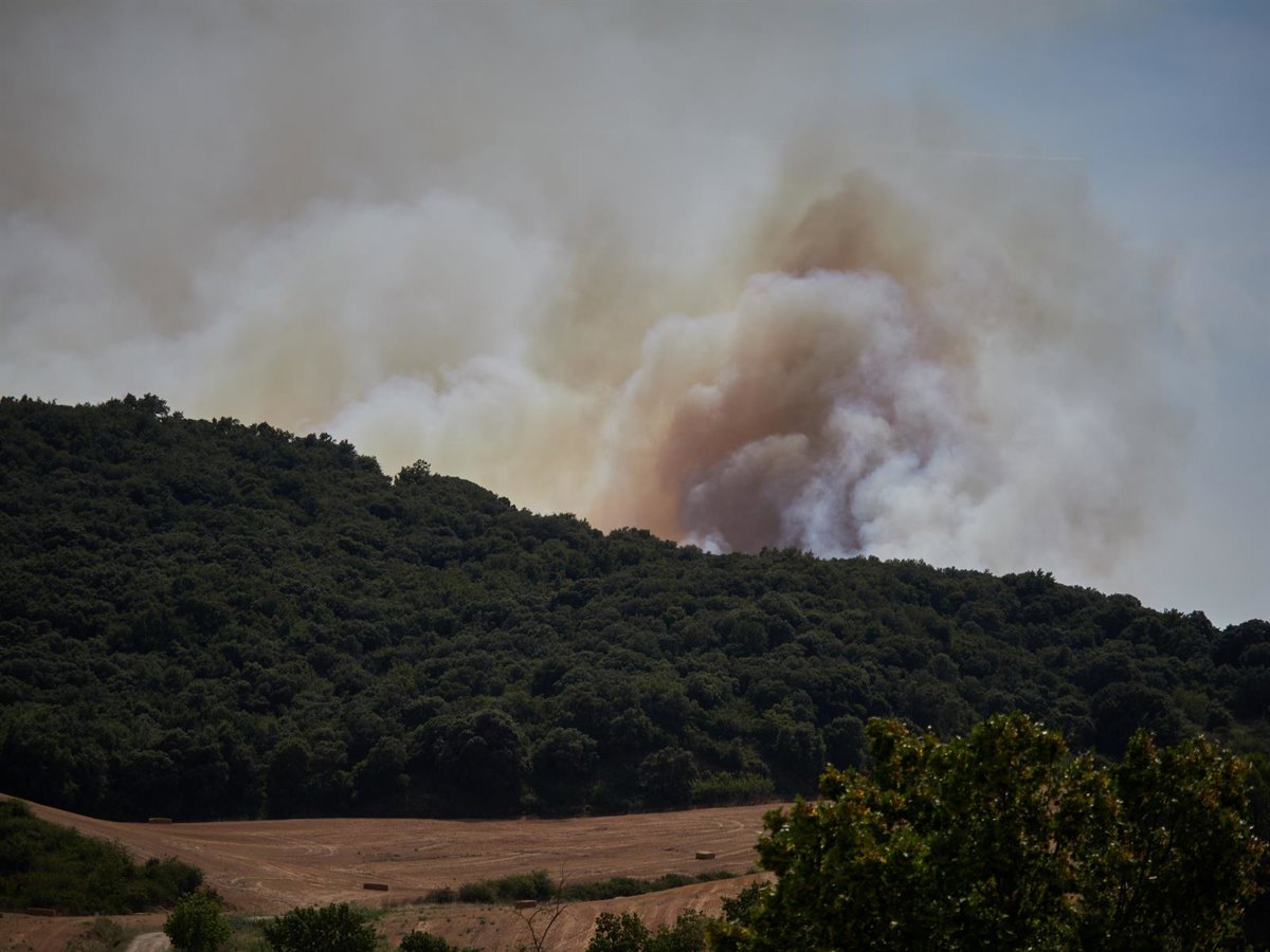 El riesgo de incendio forestal para este domingo es "muy alto" o "extremo" en gran parte de Navarra
