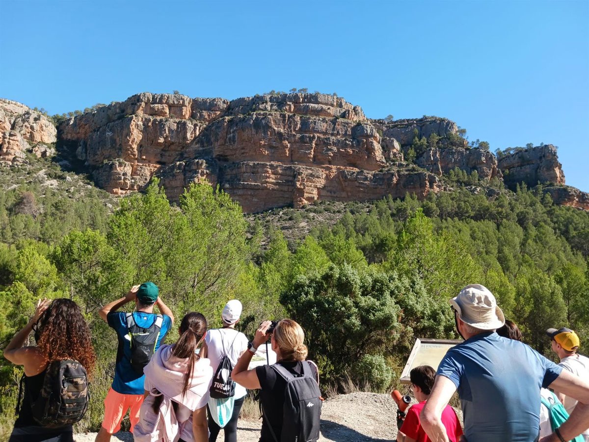 Tuéjar acogerá el III Festival de los Buitres en septiembre con rutas ornitológicas guiadas