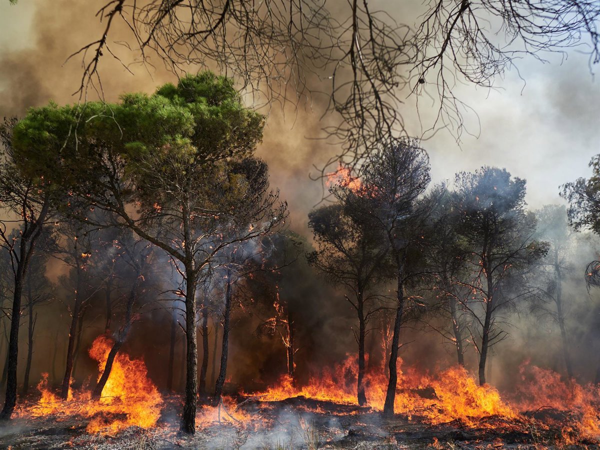 El riesgo de incendio forestal para este martes es alto en todo Navarra