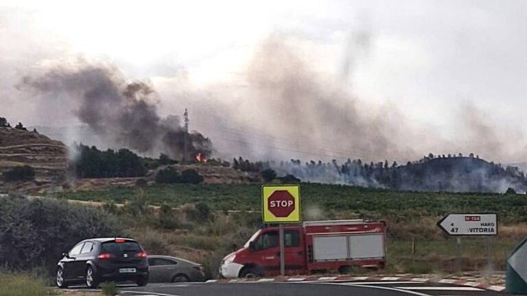 Tres nuevos incendios activos fueron reportados en Haro, Fonzaleche y Treviana, en La Rioja