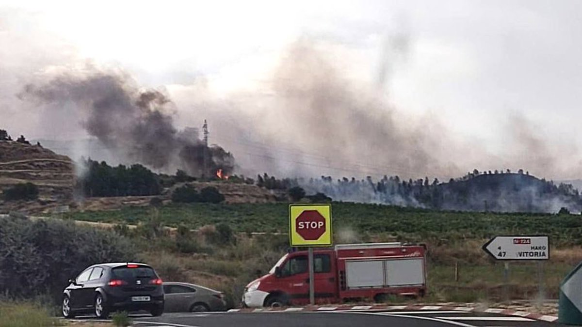 Tres nuevos incendios activos fueron reportados en Haro, Fonzaleche y Treviana, en La Rioja