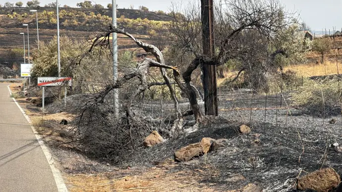 El incendio de Navalmoralejo podría estar controlado al 100% al final de la jornada