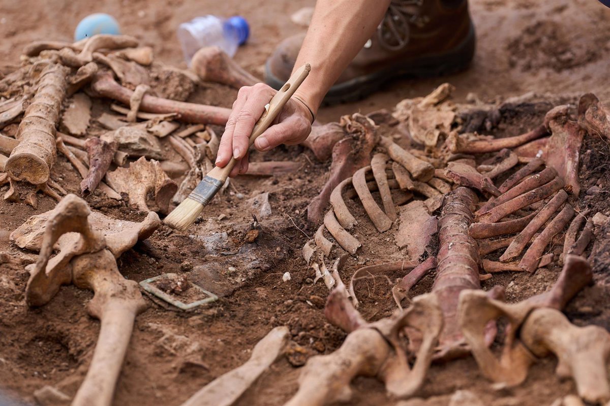 El Govern estima en 8.069 las personas registradas en el censo de desaparecidos de la Guerra Civil