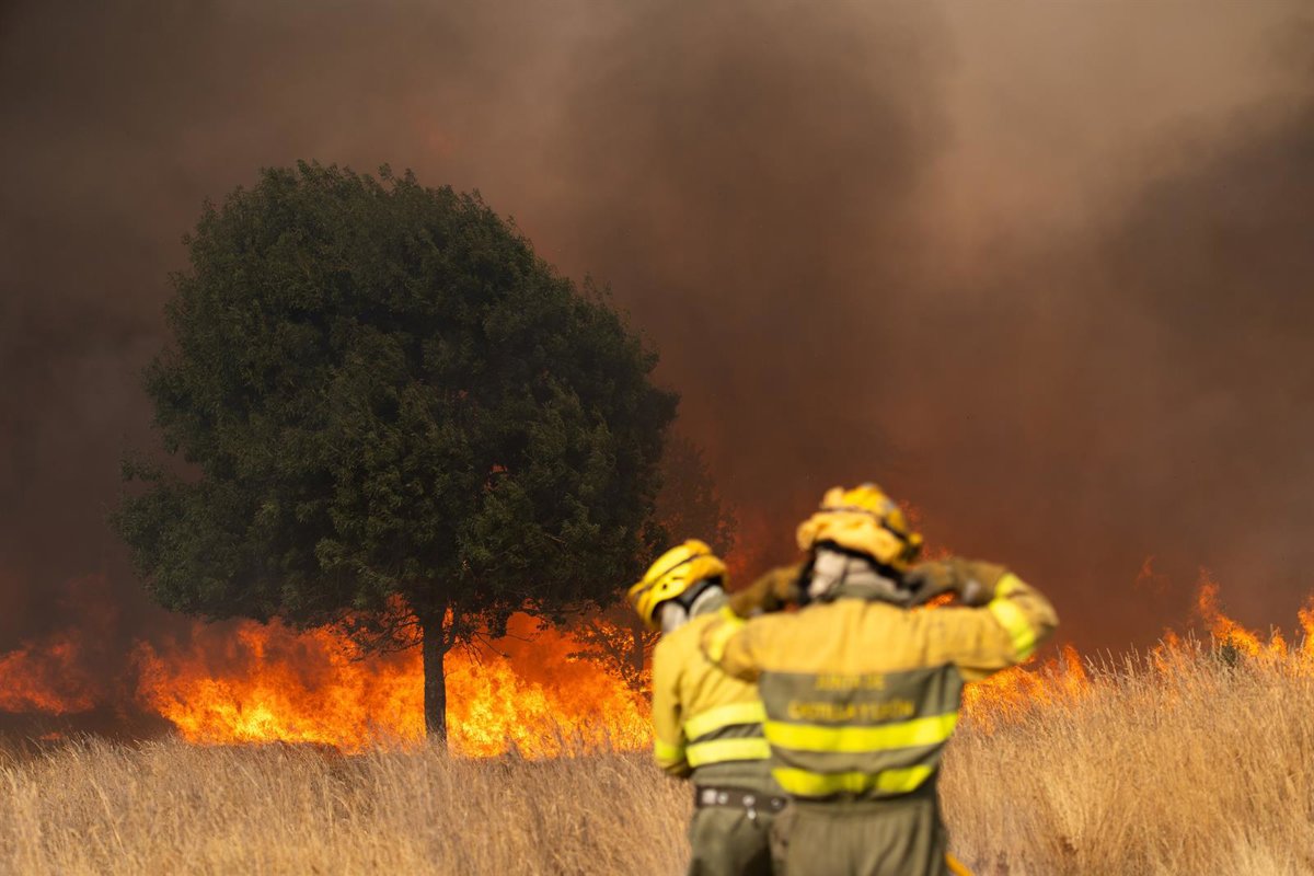 situación crítica en Castilla y León: más de 20 incendios activos, 13 en nivel de gravedad 2