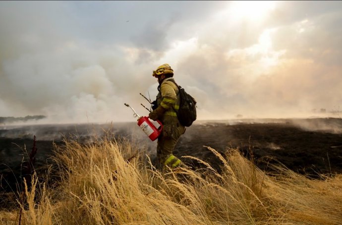 Un efectivo contra incendios trabaja en las tareas de extinci&oacute;n en Le&oacute;n.