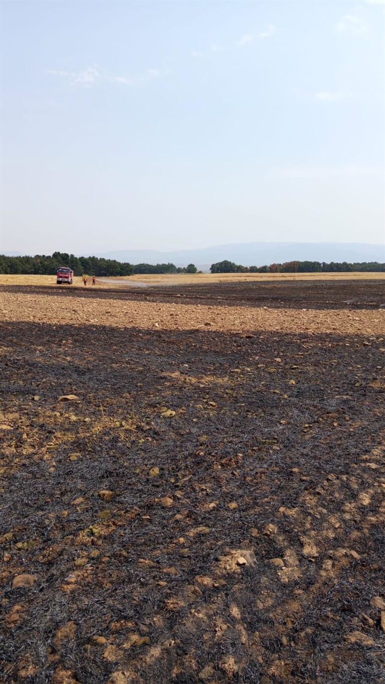 Hasta 6.000 metros cuadrados de cereal ya cosechado se ven afectados por el incendio en Cañas