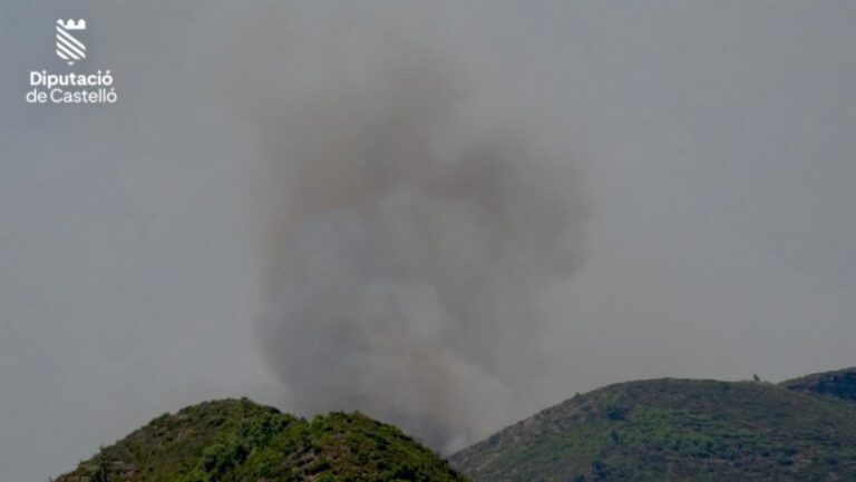 Emergencias activa la situación 1 del PEIF por los incendios forestales en Artana y Utiel.