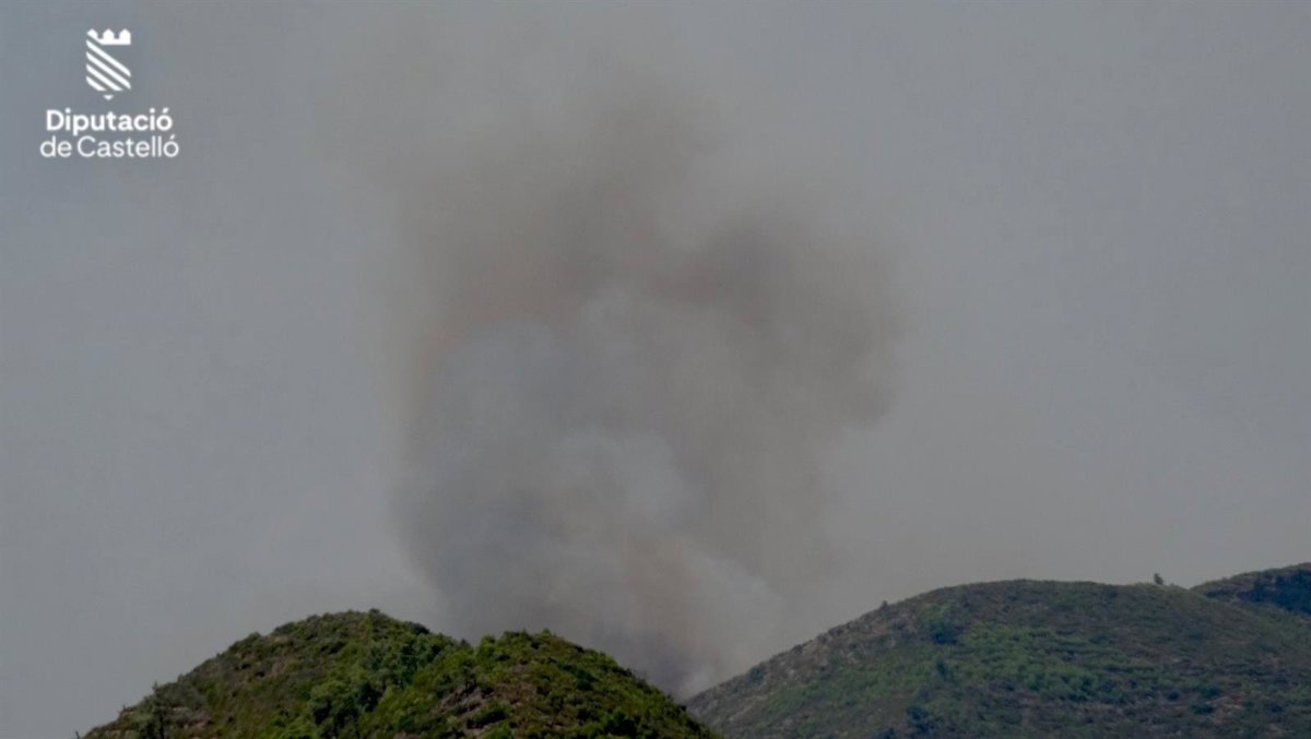 Emergencias activa la situación 1 del PEIF por los incendios forestales en Artana y Utiel.