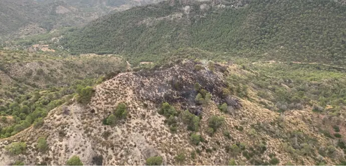 Se han controlado todos los incendios forestales registrados este lunes en la Región de Murcia