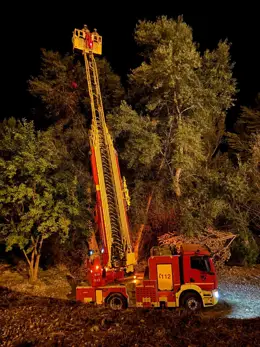 Bomberos de la Diputación de Teruel desmantelan un nido de avispa asiática en Alcañiz