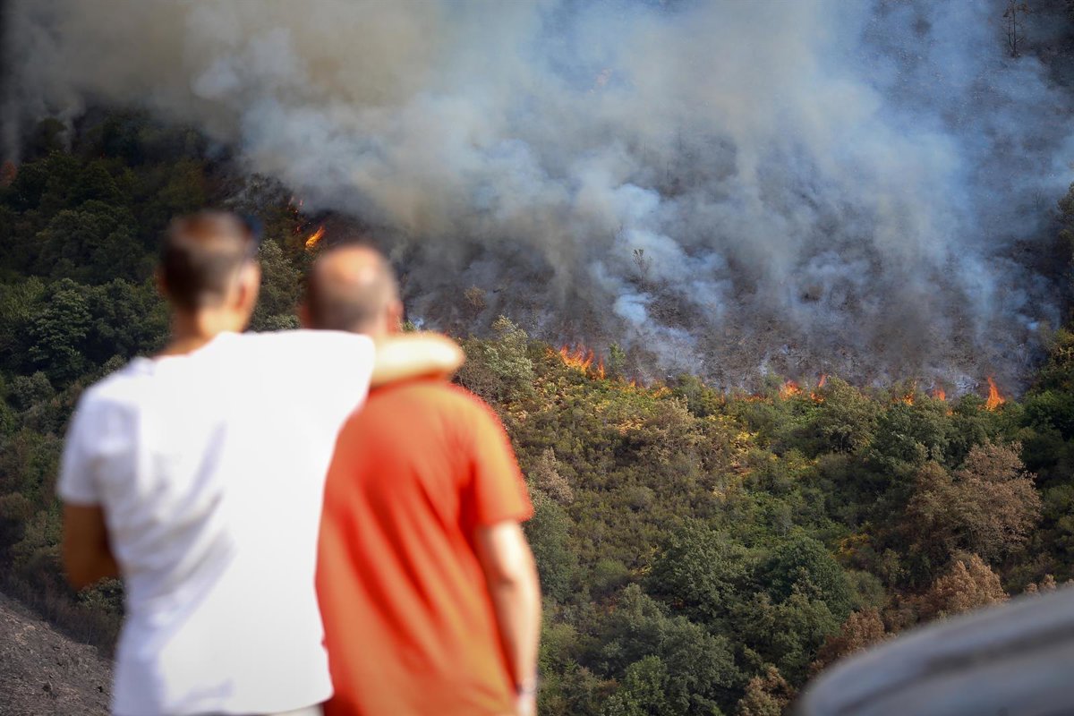 Las noticias falsas, el cambio climático y la economía son las principales preocupaciones para