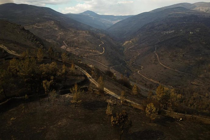 Vista a&eacute;rea tras el incendio, a 20 de agosto de 2025, en Cernego, Ourense, Galicia (Espa&ntilde;a).