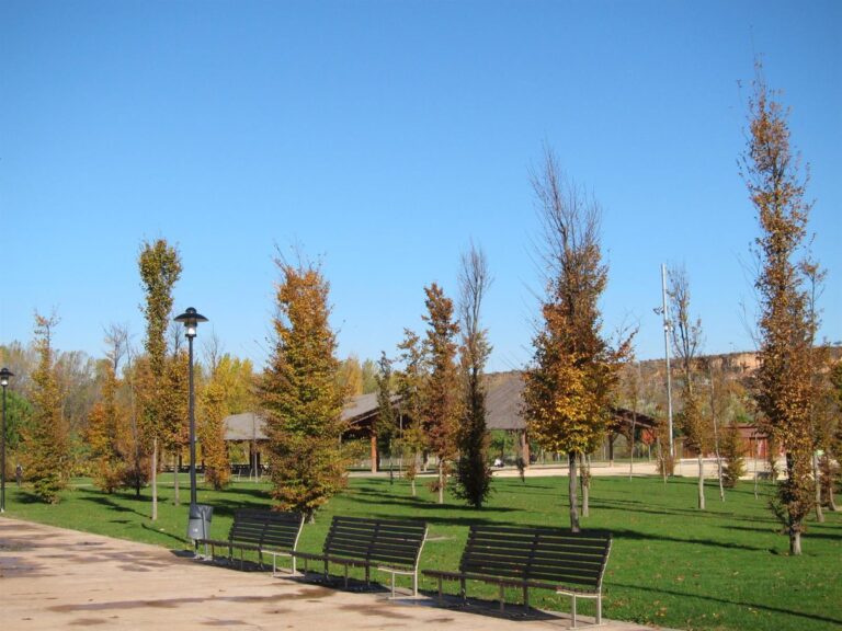 Propuesta de BOAL Eventos S.L. para la gestión de la Terraza de San Mateo en 2025