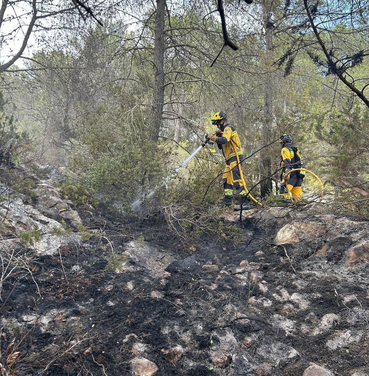 Un incendio forestal en Sant Joan de Labritja es controlado tras afectar 0,087 hectáreas de pinar