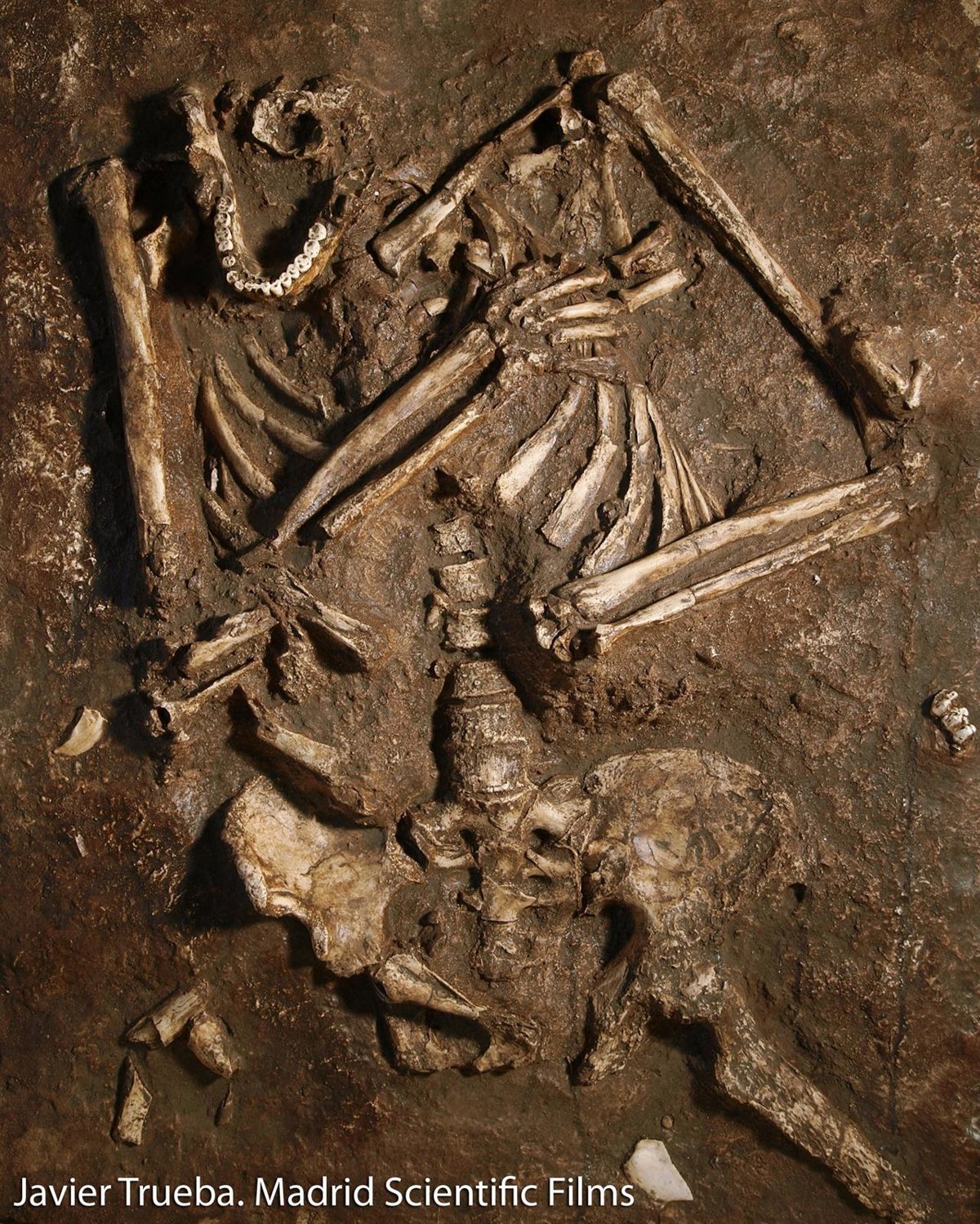 Investigadores del CENIEH en Burgos evidencian prácticas funerarias de neandertales en la