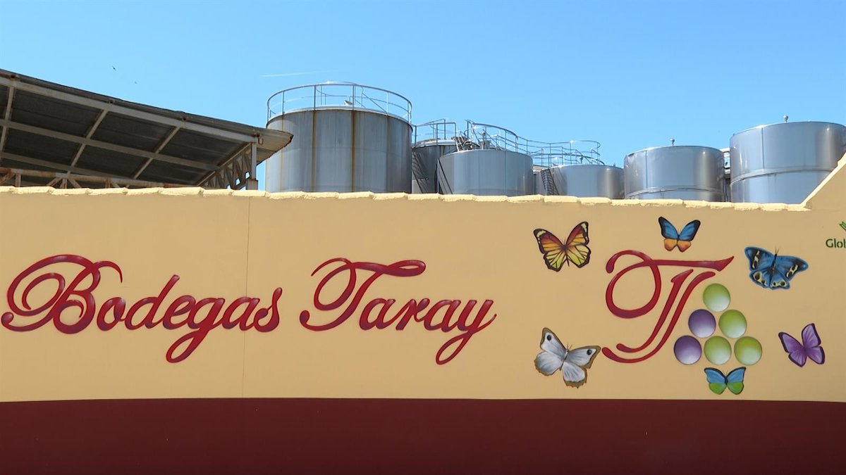 Bodegas Taray aspira a lograr un mayor reconocimiento: "En los pueblos se producen excelentes vinos