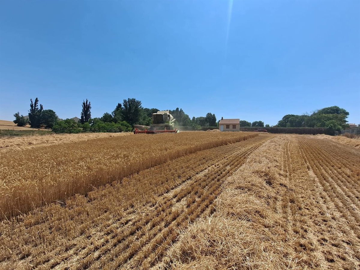 El campo de Castilla y León rechaza la reforma de la PAC y solicita un presupuesto adecuado para