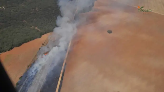 Interrumpida la circulación del AVE entre Madrid y Barcelona por un incendio cercano a la vía