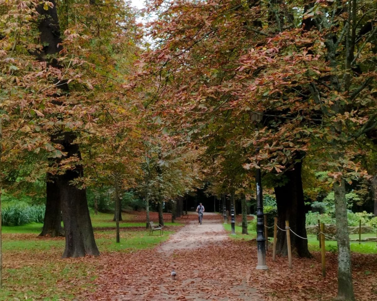 Ambiente fresco este jueves en Euskadi, con lluvias que cesarán por la tarde