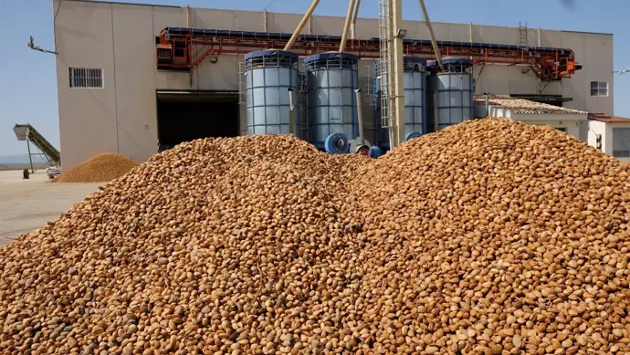 Fecoam manifiesta su profunda inquietud por el futuro de los frutos secos en la Región por