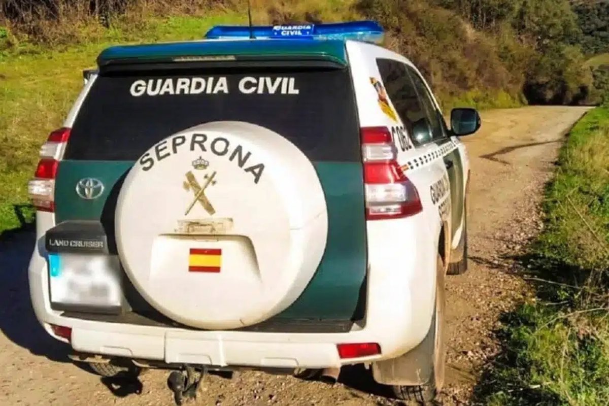 Un perro de raza mixta ataca a una mujer y su mascota en Laguna, Valladolid