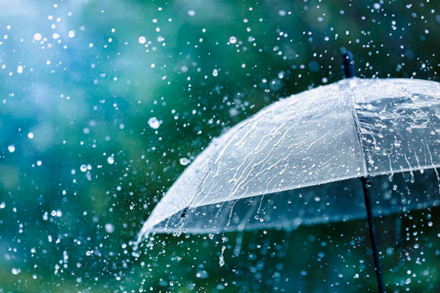El domingo se prevén intensas lluvias en la región según los últimos informes meteorológicos