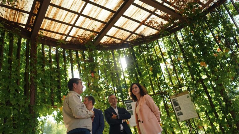 La Comunidad de Madrid agota en cuatro meses los 2,5 millones de euros en ayudas para jóvenes