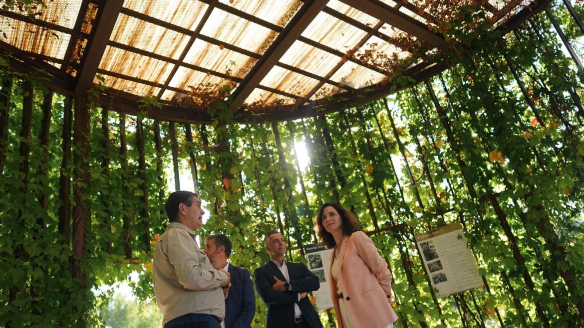 La Comunidad de Madrid agota en cuatro meses los 2,5 millones de euros en ayudas para jóvenes