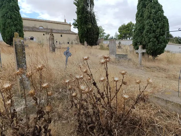 El PSOE pide acción inmediata debido al estado lamentable del cementerio de las Mártires en Huesca