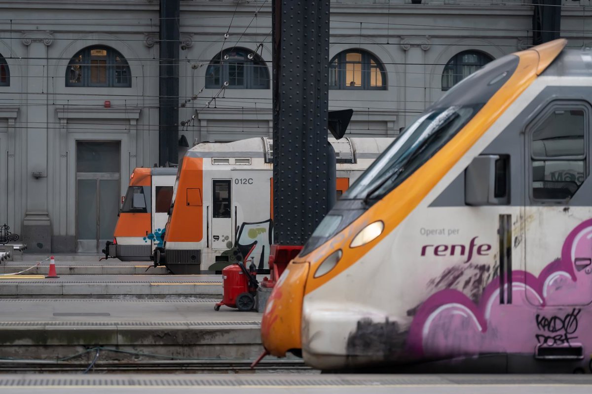 Restablecida la circulación en las líneas RG1 y R11 de Rodalies tras la retirada del árbol caído