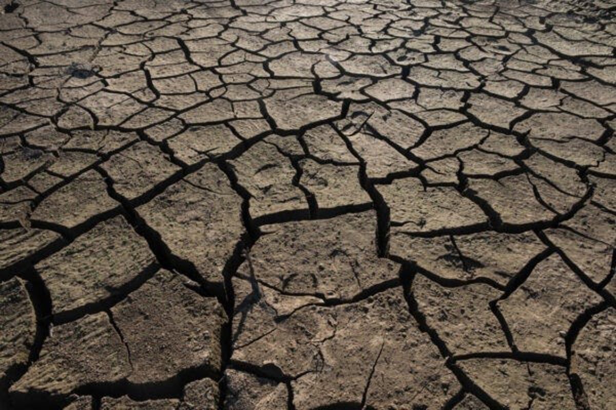 Castilla-La Mancha destinará hasta 2.350 euros en ayudas a los agricultores por la sequía