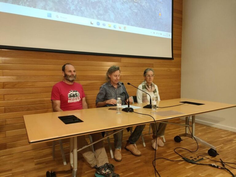 Un agente forestal alerta sobre la tala de hayas en Munilla que afecta a una especie protegida