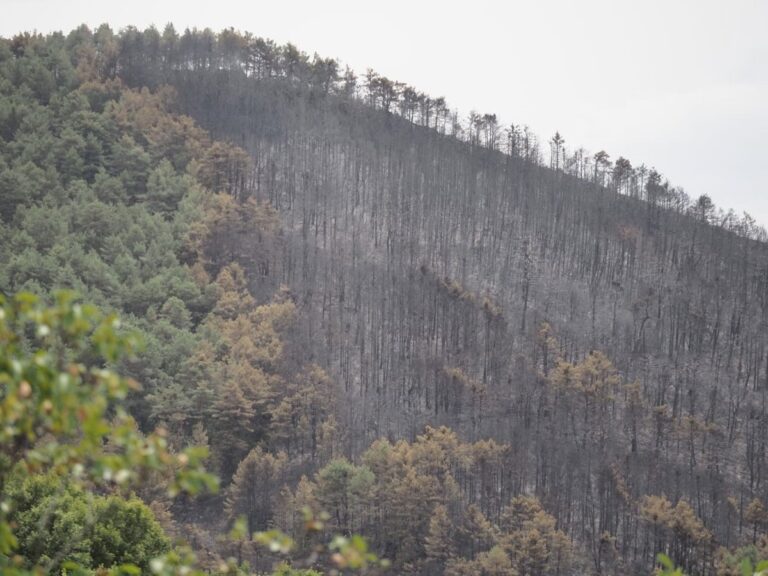 El incendio forestal en Urraúl Alto ha sido estabilizado con éxito y las labores de control