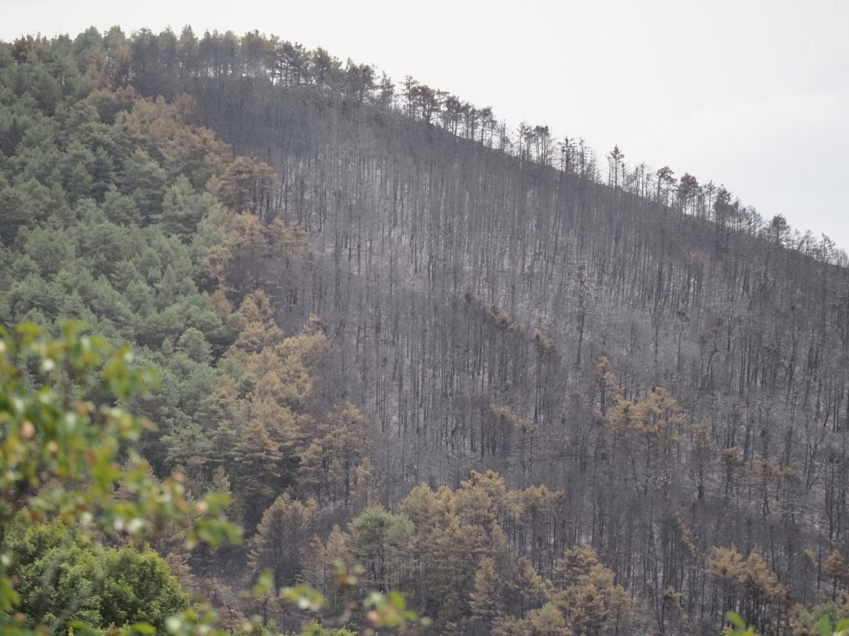 El incendio forestal en Urraúl Alto ha sido estabilizado con éxito y las labores de control