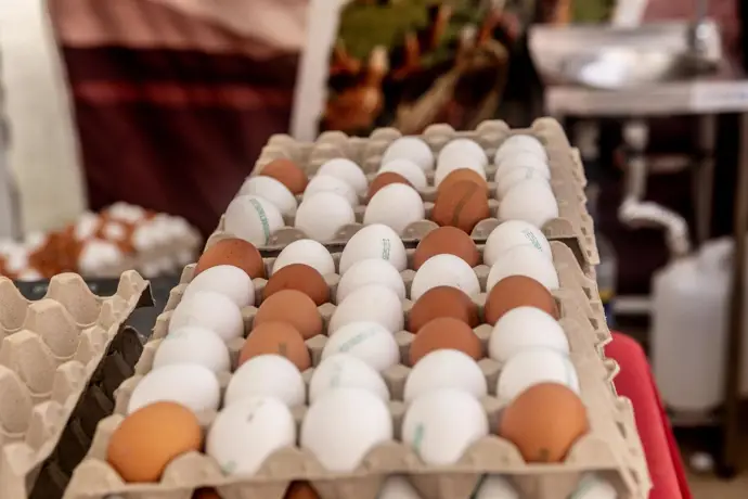 Hong Kong prohíbe la importación de carne y huevos de Huelva por brotes de gripe aviar