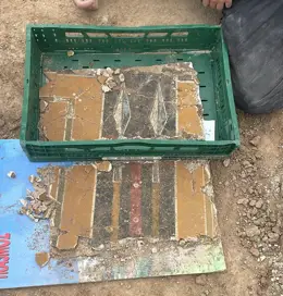Descubren una pintura mural romana del siglo II d.C. sin precedentes en Borja, Zaragoza