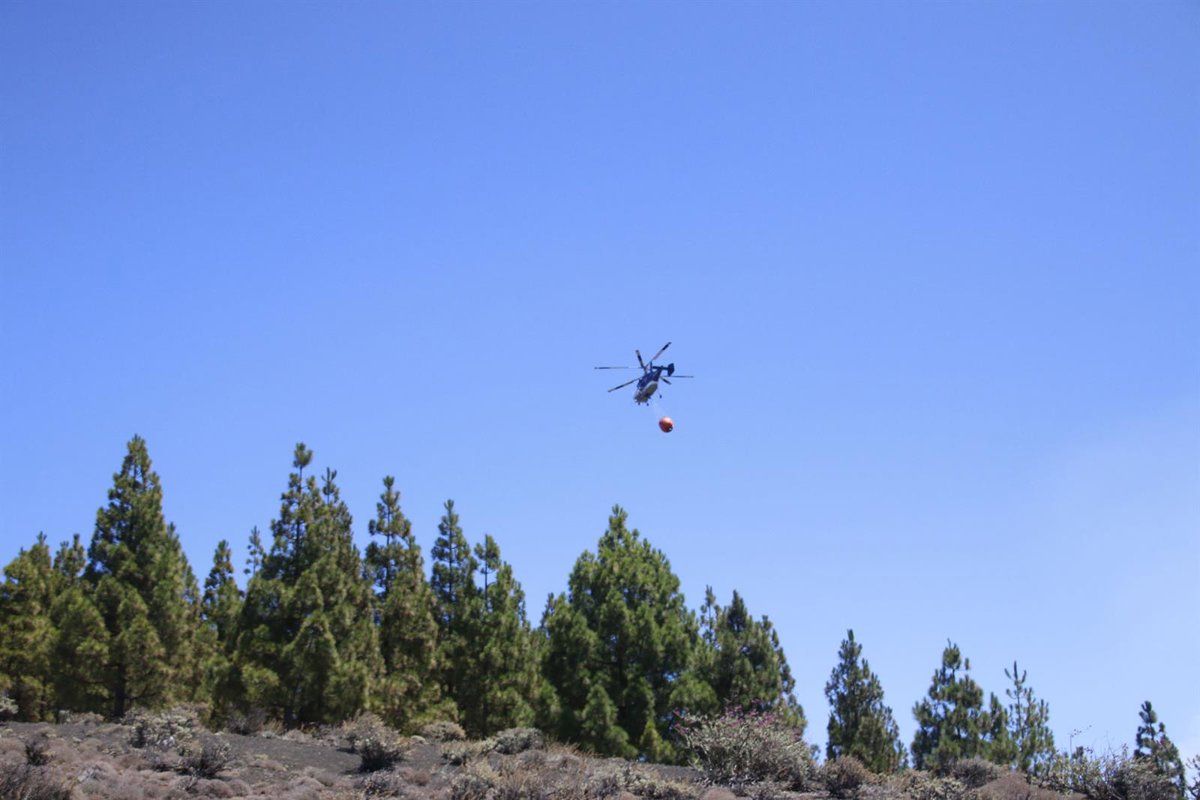 Islas occidentales y Gran Canaria en alerta por alto riesgo de incendios forestales