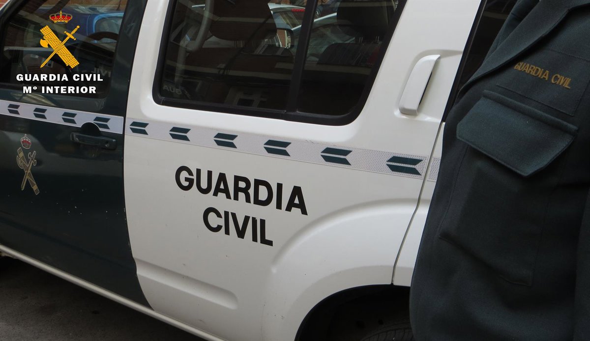 Capturan al responsable de múltiples robos en fincas agrícolas de Daimiel