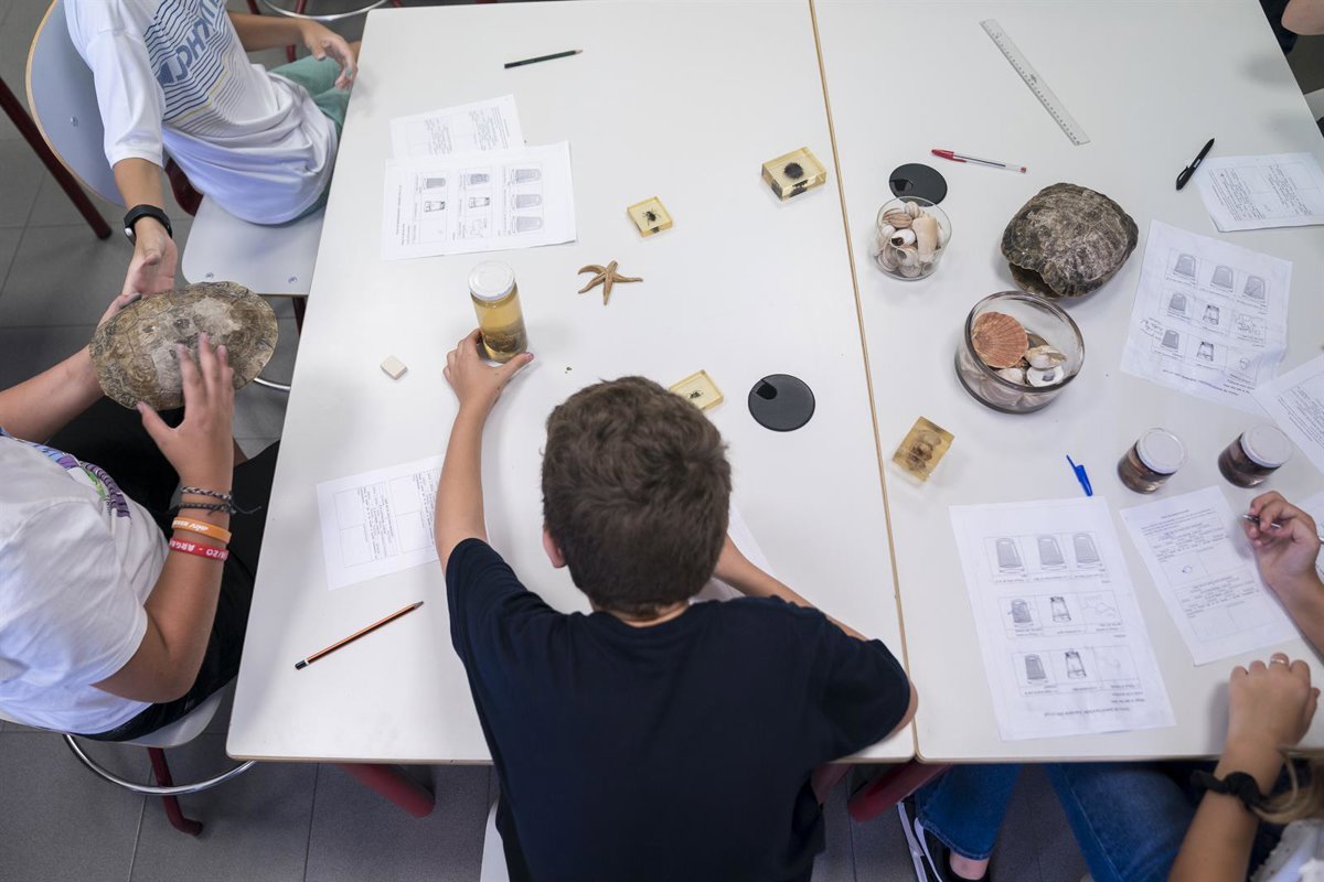 Educación convocará de nuevo la comisión paritaria para separar al docente condenado por acoso